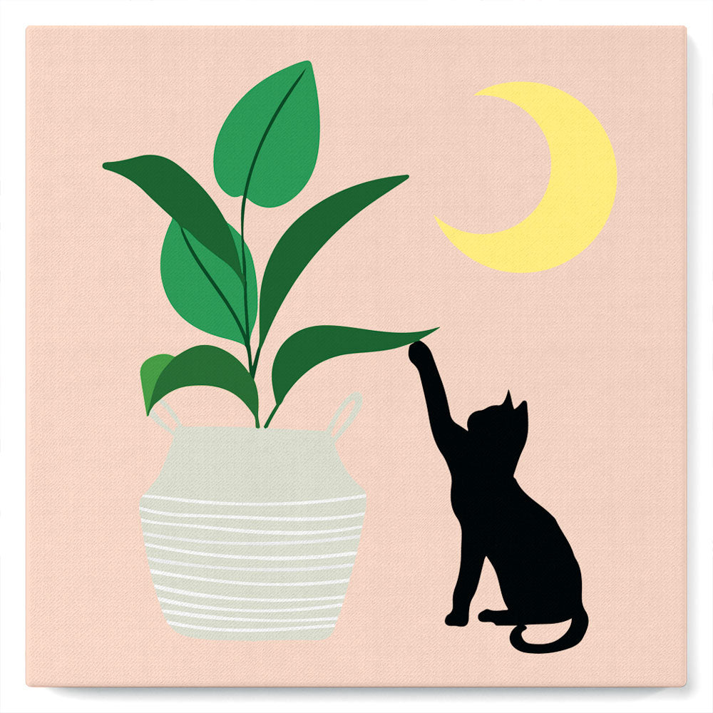 Mini Kit da Dipingere con i Numeri 20x20cm con cornice Micietto sotto la luna