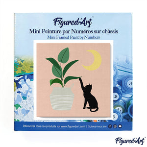 Mini Kit da Dipingere con i Numeri 20x20cm con cornice Micietto sotto la luna