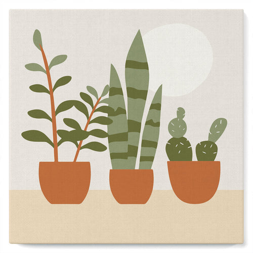 Mini Kit da Dipingere con i Numeri 20x20cm con cornice Succulente