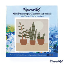 Carica l&#39;immagine nel visualizzatore di Gallery, Mini Kit da Dipingere con i Numeri 20x20cm con cornice Succulente