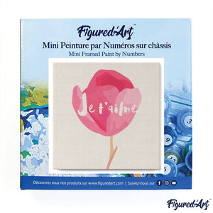 Mini Kit da Dipingere con i Numeri 20x20cm con cornice Je T'aime