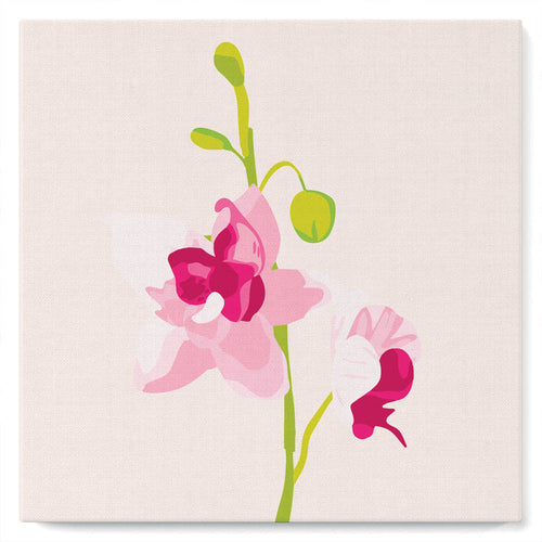 Mini Kit da Dipingere con i Numeri 20x20cm con cornice Orchidea