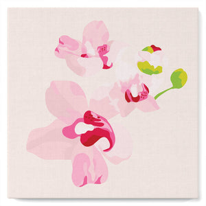 Mini Kit da Dipingere con i Numeri 20x20cm con cornice Fiori di Orchidea
