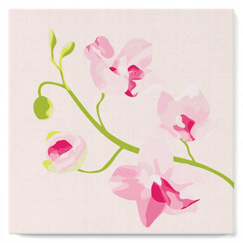 Mini Kit da Dipingere con i Numeri 20x20cm con cornice Ramo di Orchidea 1