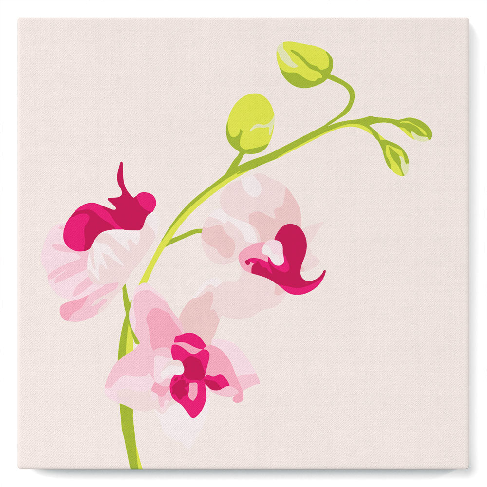 Mini Kit da Dipingere con i Numeri 20x20cm con cornice Ramo di Orchidea 2