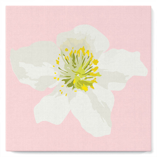 Mini Kit da Dipingere con i Numeri 20x20cm con cornice Rosa canina