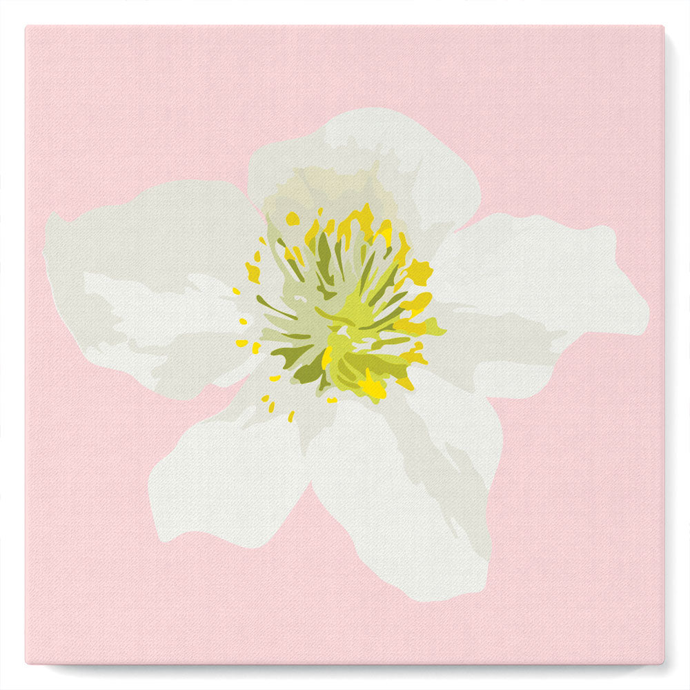Mini Kit da Dipingere con i Numeri 20x20cm con cornice Rosa canina