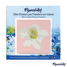 Carica l&#39;immagine nel visualizzatore di Gallery, Mini Kit da Dipingere con i Numeri 20x20cm con cornice Rosa canina