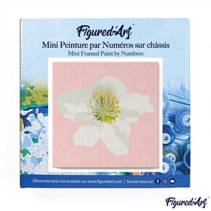 Mini Kit da Dipingere con i Numeri 20x20cm con cornice Rosa canina