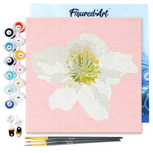 Mini Kit da Dipingere con i Numeri 20x20cm con cornice Rosa canina