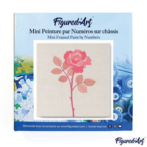 Mini Kit da Dipingere con i Numeri 20x20cm con cornice Stelo di rosa