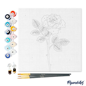 Mini Kit da Dipingere con i Numeri 20x20cm con cornice Stelo di rosa