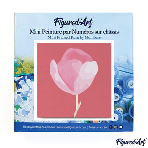 Mini Kit da Dipingere con i Numeri 20x20cm con cornice Tulipano rosa