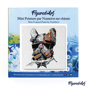 Mini Kit da Dipingere con i Numeri 20x20cm con cornice Bull dog cool