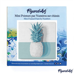 Mini Kit da Dipingere con i Numeri 20x20cm con cornice Ananas