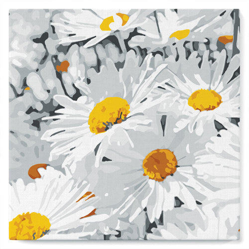 Mini Kit da Dipingere con i Numeri 20x20cm con cornice Pretty Daisies