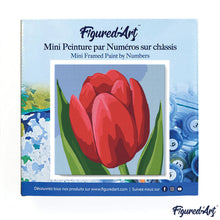 Carica l&#39;immagine nel visualizzatore di Gallery, Mini Kit da Dipingere con i Numeri 20x20cm con cornice Tulipano rosso