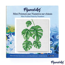 Carica l&#39;immagine nel visualizzatore di Gallery, Mini Kit da Dipingere con i Numeri 20x20cm con cornice Le foglie di Monstera