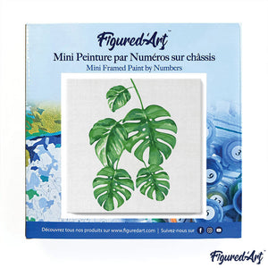 Mini Kit da Dipingere con i Numeri 20x20cm con cornice Le foglie di Monstera