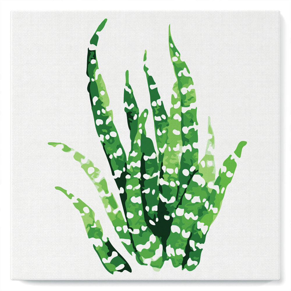 Mini Kit da Dipingere con i Numeri 20x20cm con cornice Sansevieria