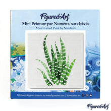 Carica l&#39;immagine nel visualizzatore di Gallery, Mini Kit da Dipingere con i Numeri 20x20cm con cornice Sansevieria