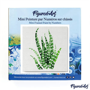 Mini Kit da Dipingere con i Numeri 20x20cm con cornice Sansevieria