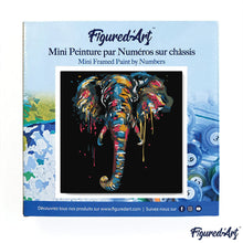Carica l&#39;immagine nel visualizzatore di Gallery, Mini Kit da Dipingere con i Numeri 20x20cm con cornice Elefante