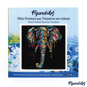 Mini Kit da Dipingere con i Numeri 20x20cm con cornice Elefante
