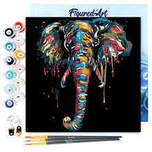 Carica l&#39;immagine nel visualizzatore di Gallery, Mini Kit da Dipingere con i Numeri 20x20cm con cornice Elefante
