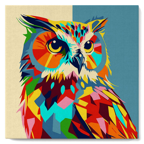 Mini Kit da Dipingere con i Numeri con cornice Gufo Pop Art Astratto