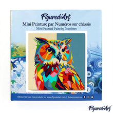 Carica l&#39;immagine nel visualizzatore di Gallery, Mini Kit da Dipingere con i Numeri 20x20cm con cornice Gufo Pop Art Astratto