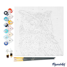 Carica l&#39;immagine nel visualizzatore di Gallery, Mini Kit da Dipingere con i Numeri 20x20cm con cornice Gufo Pop Art Astratto