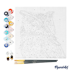 Mini Kit da Dipingere con i Numeri 20x20cm con cornice Gufo Pop Art Astratto