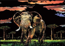 Carica l&#39;immagine nel visualizzatore di Gallery, Scratch Painting - Elefante