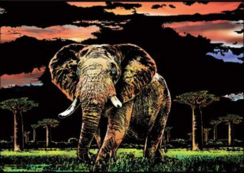 Scratch Painting - Elefante