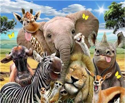 Dipingere con i numeri - Animali Africani