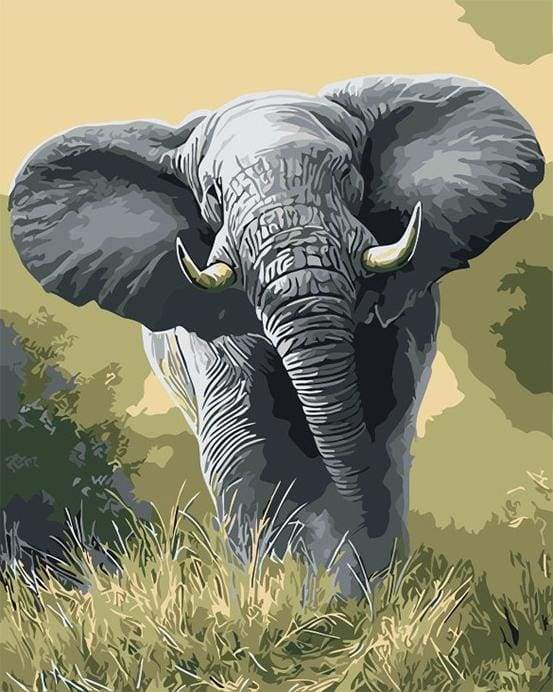 Dipingere con i numeri - Elefante Africano