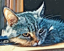 Carica l&#39;immagine nel visualizzatore di Gallery, Dipingere con i numeri - Gatto Americano A Pelo Corto