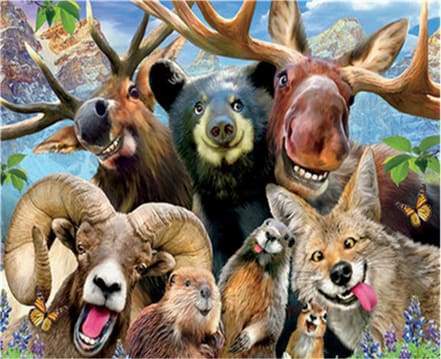 Dipingere con i numeri - Animali