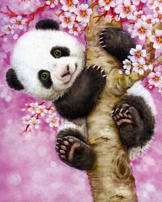Dipingere con i numeri - Cucciolo Di Panda