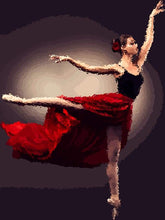 Carica l&#39;immagine nel visualizzatore di Gallery, Dipingere con i numeri - Ballerina Con Scarpe Da Punta Sansha
