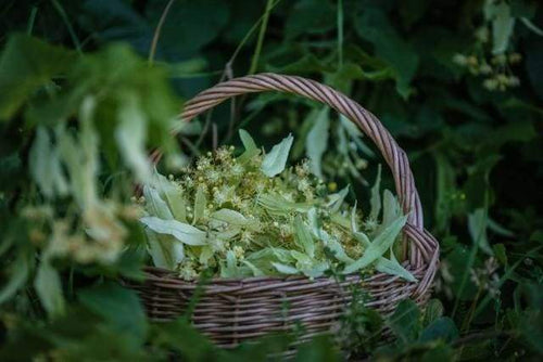 Dipingere con i numeri - Cesto Di Fiori