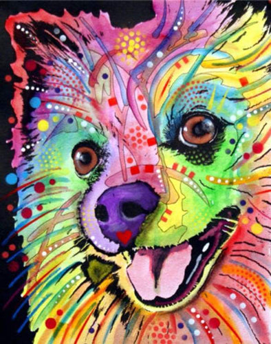 Dipingere con i numeri - Bellissimo Cane
