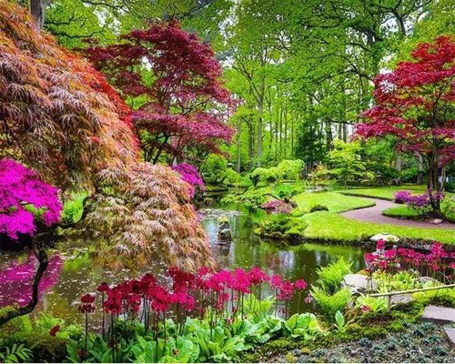 Dipingere con i numeri - Bellissimo Parco