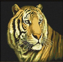 Carica l&#39;immagine nel visualizzatore di Gallery, Dipingere con i numeri - Tigre Del Bengala