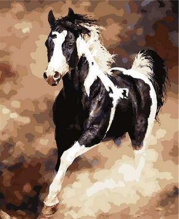 Dipingere con i numeri - Grande Cavallo In Bianco E Nero