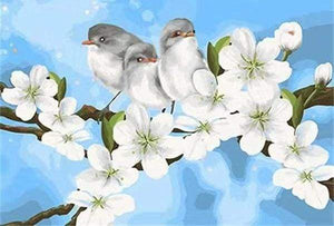 Dipingere con i numeri - Uccelli E Magnolia Bianca