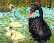 Carica l&#39;immagine nel visualizzatore di Gallery, Dipingere con i numeri - Uccelli Nello Stagno