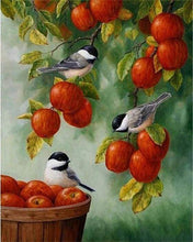 Carica l&#39;immagine nel visualizzatore di Gallery, Dipingere con i numeri - Uccelli Su Mele Rosse