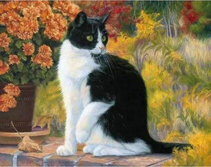 Dipingere con i numeri - Gatto Bianco E Nero